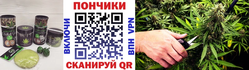 что такое наркотик Мышкин Печенье с ТГК марихуана