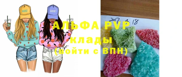 индика Алексин