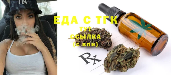 индика Алексин