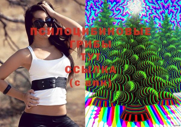 гашиш Алзамай