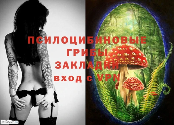 бошки Алексеевка