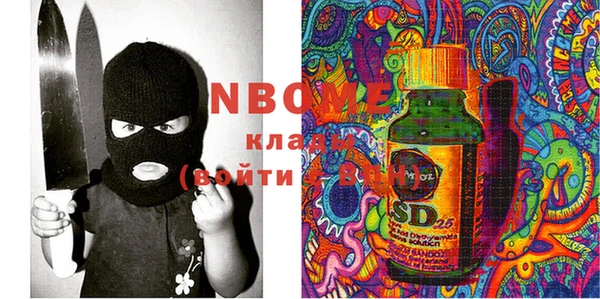 индика Алексин
