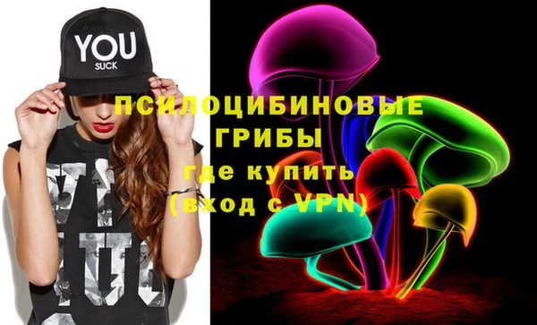 бошки Алексеевка