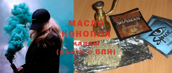 индика Алексин