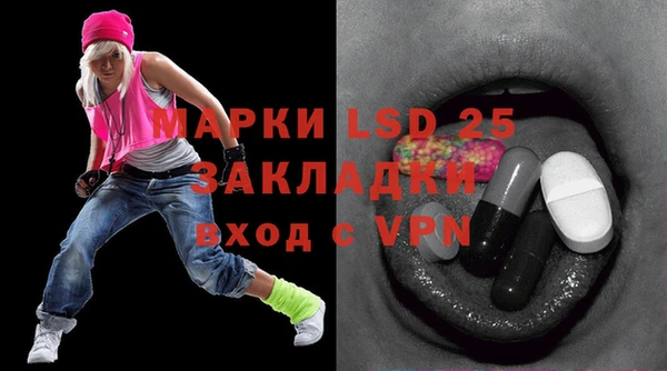индика Алексин