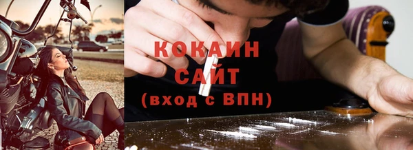 индика Алексин
